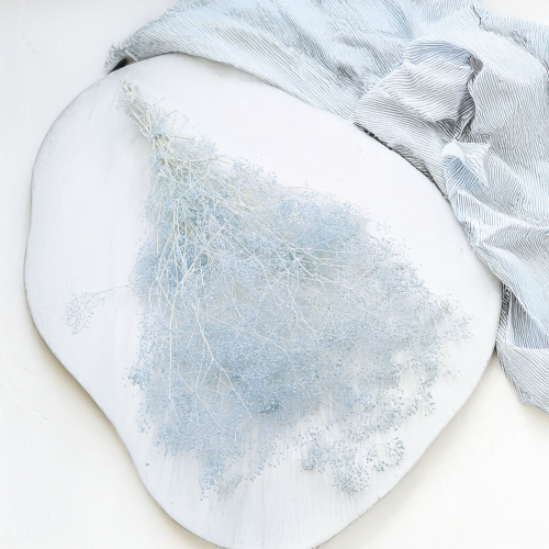 Gipsówka Stabilizowana Mini Drobna Niebieska 3.png