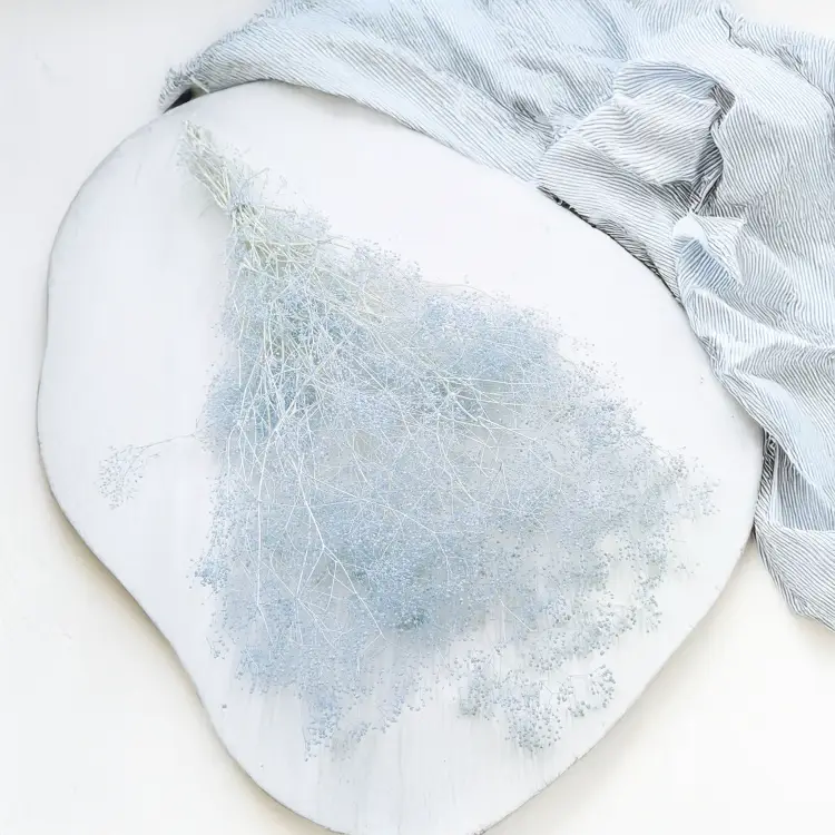 Gipsówka Stabilizowana Mini Drobna Niebieska 3.png