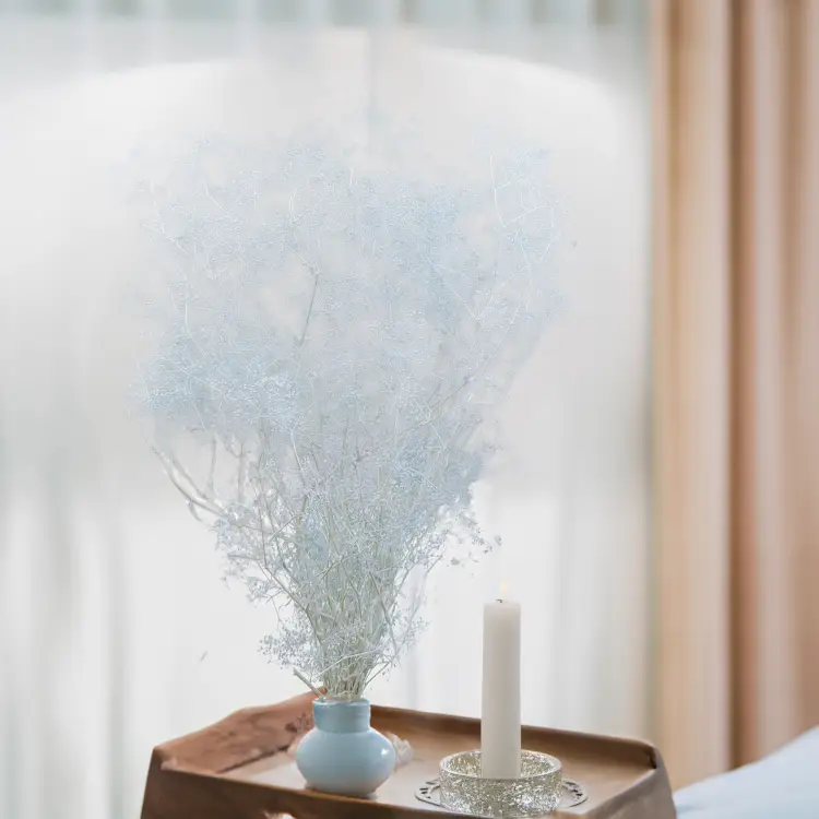 Gipsówka Stabilizowana Mini Drobna Niebieska 4.png