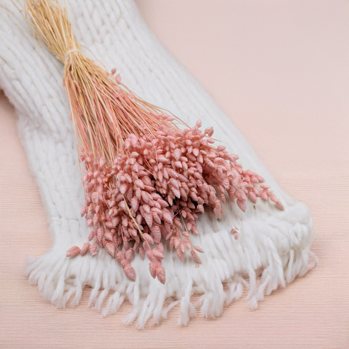 Briza Maxima różowa1.png