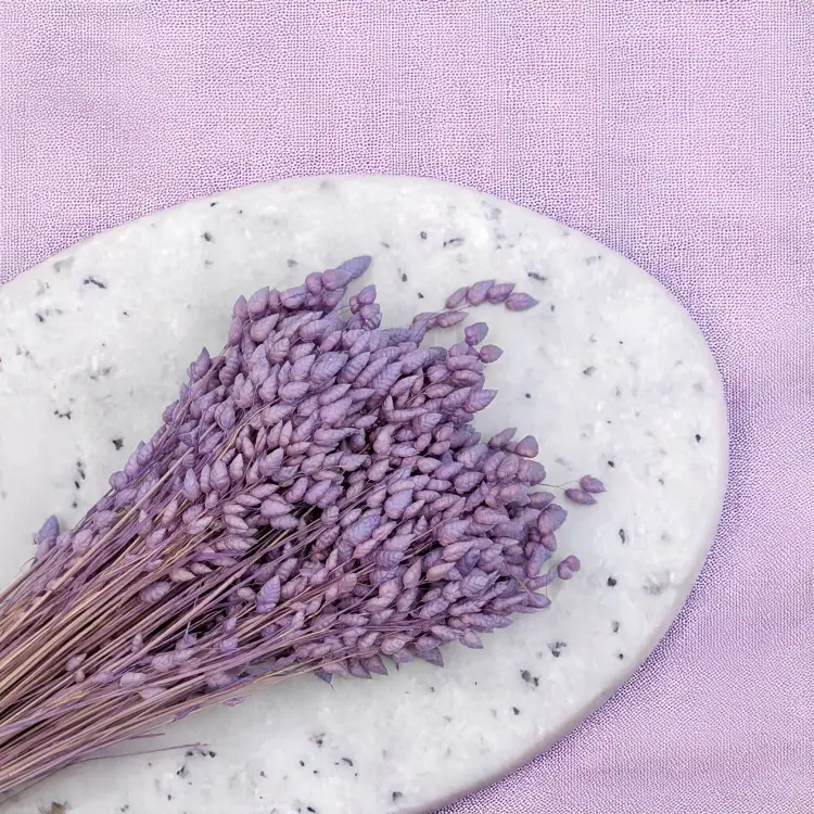 Briza Maxima lawendowa 2.png