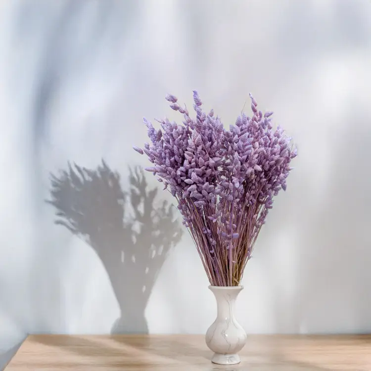 Briza Maxima lawendowa 3.png