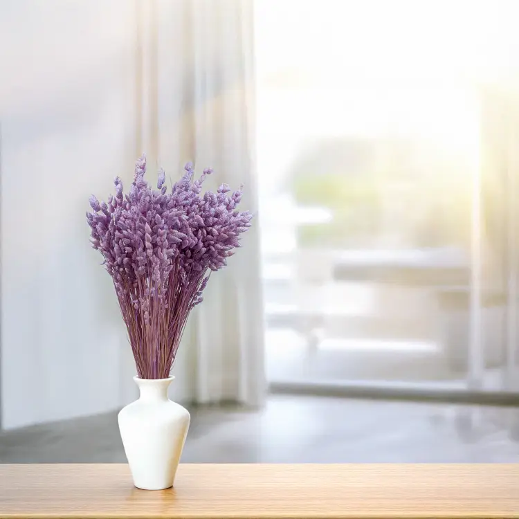 Briza Maxima lawendowa 5.png