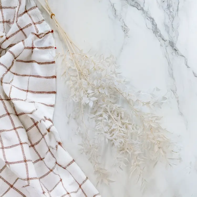 Ruskus bielony 1.png