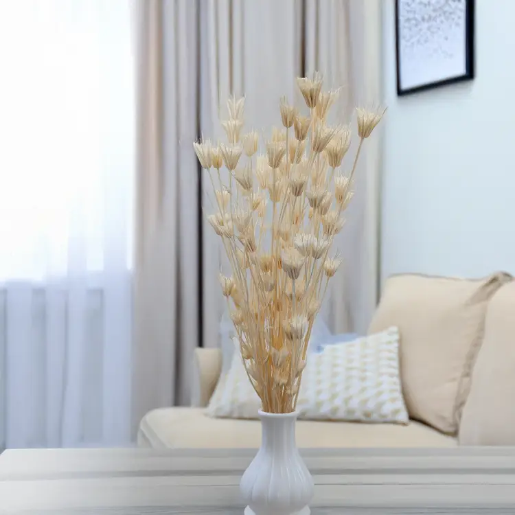 Nigella Biała 4.png