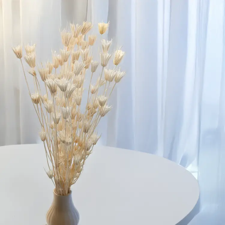 Nigella Biała 3.png