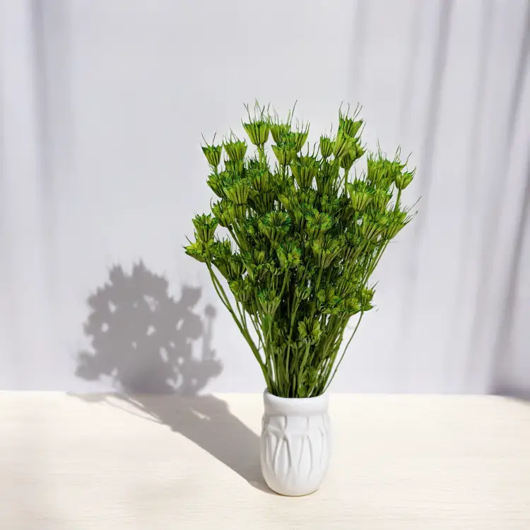 Nigella zielona 3.png