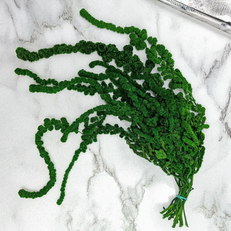 Szarłat Ball zielony 2.png