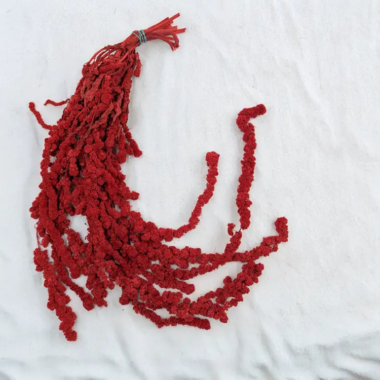 Szarłat Ball czerwony 1.png