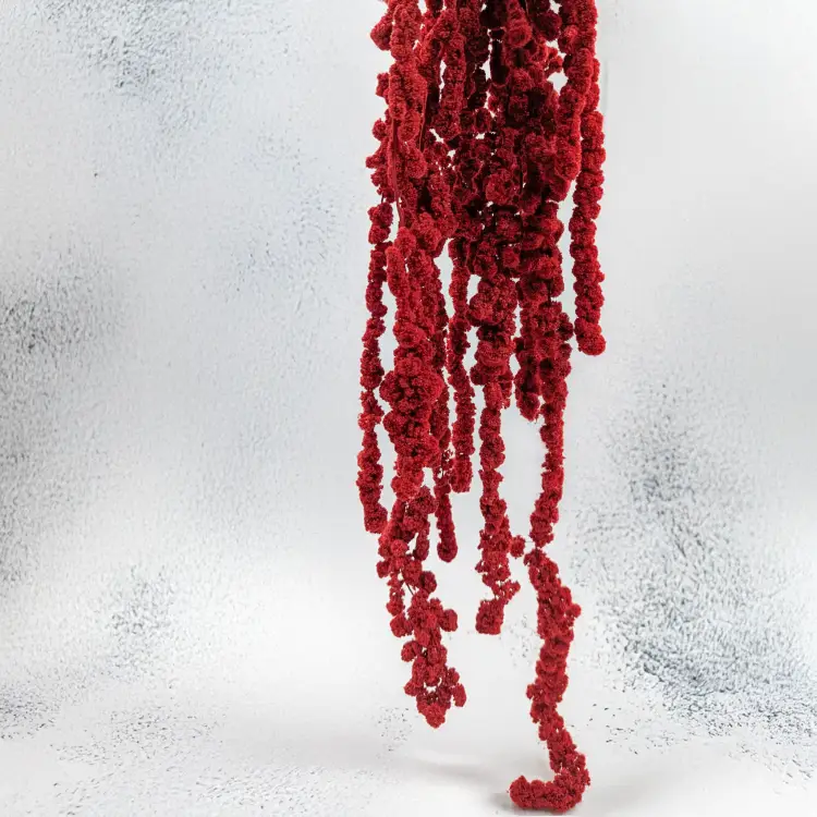 Szarłat Ball czerwony 4.png