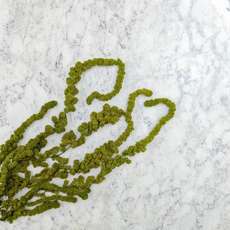 Szarłat Ball jasna zieleń 2.png