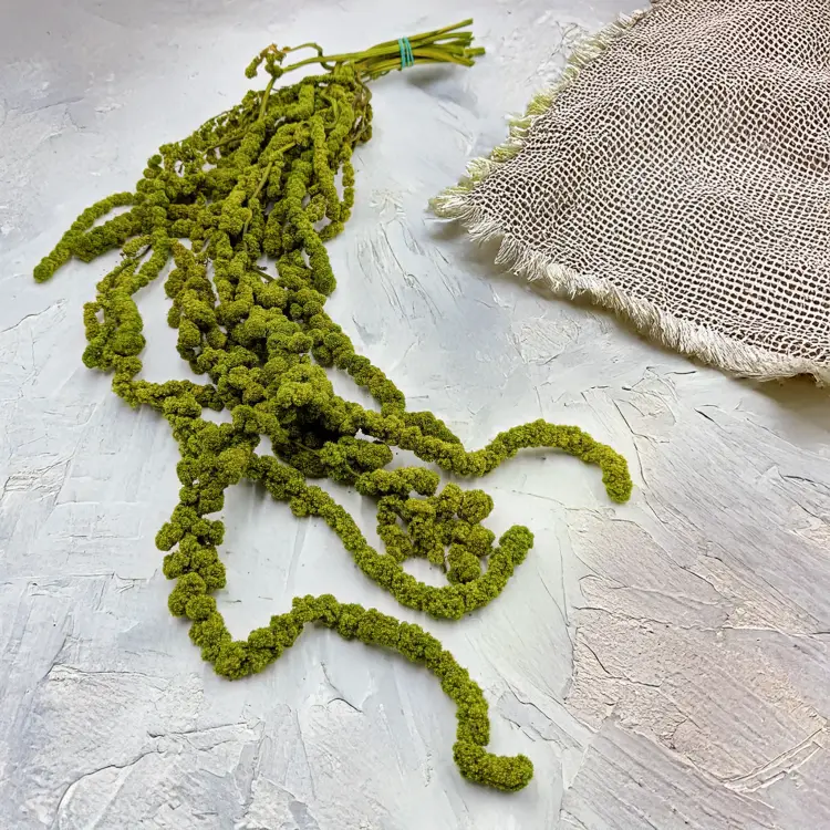 Szarłat Ball jasna zieleń.png