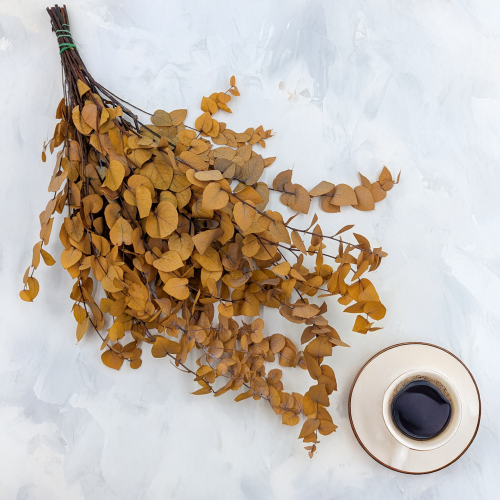 Eukaliptus Stuartiana jesienny żółty 1.png