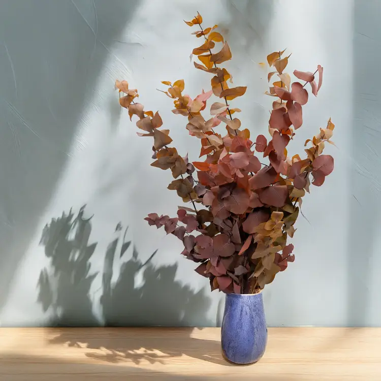 Eukaliptus Stuartiana jesinny MIX 3.png