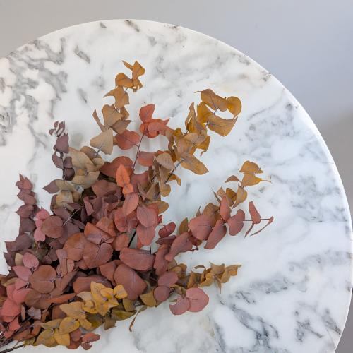 Eukaliptus Stuartiana jesinny MIX 2.png