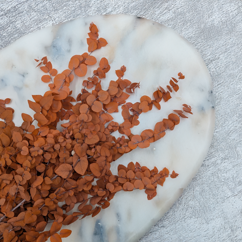 Eukaliptus Stuartiana pomarańczowy 2.png