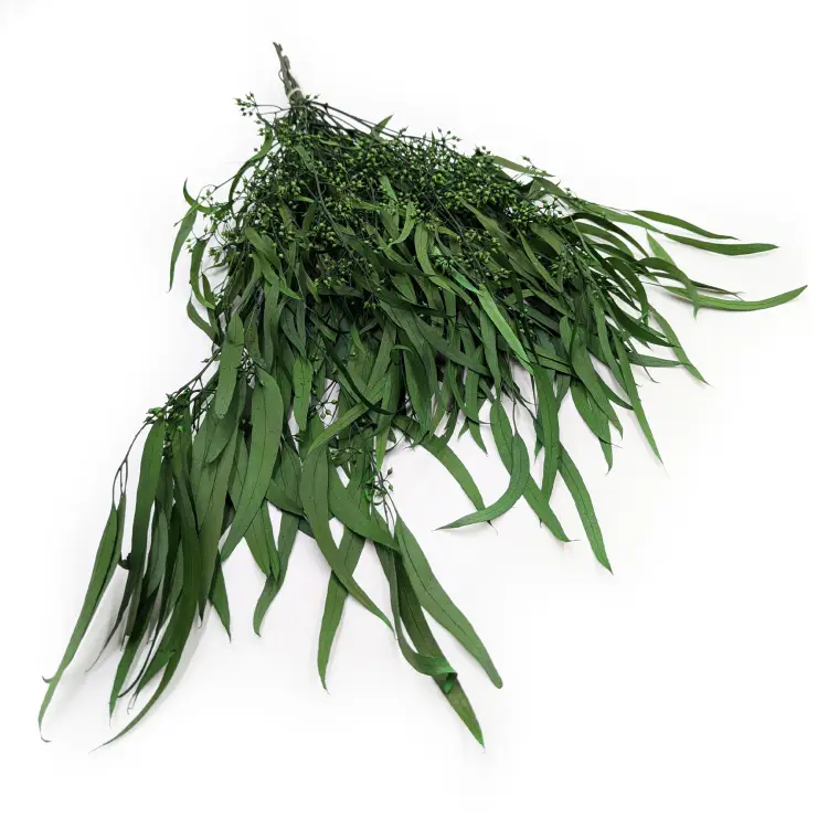 Willow Zielony Stabilizowany z owocami 1.png