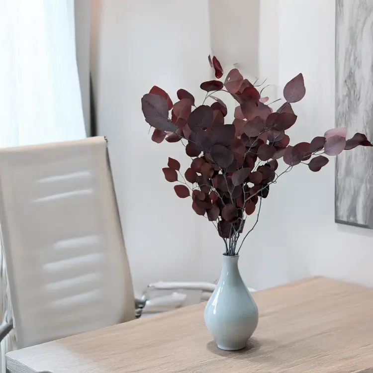 Eukaliptus Populus czerwony 4.png