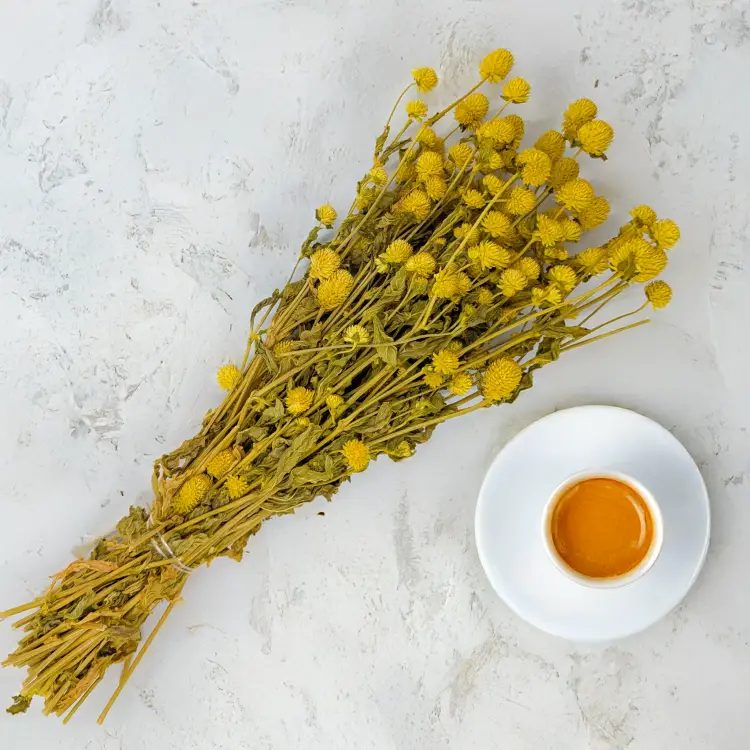 Gomphrena żółta 2.png