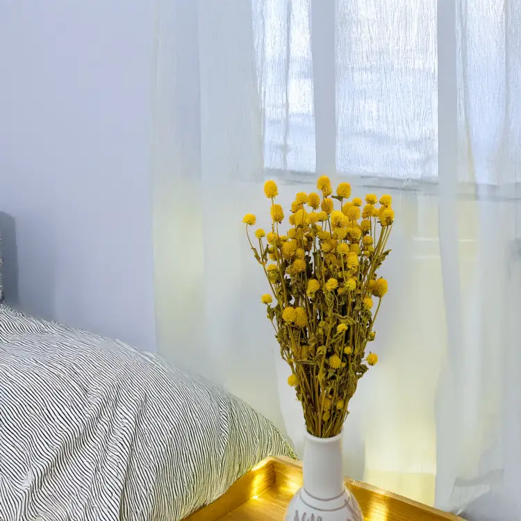 Gomphrena żółta 4.png