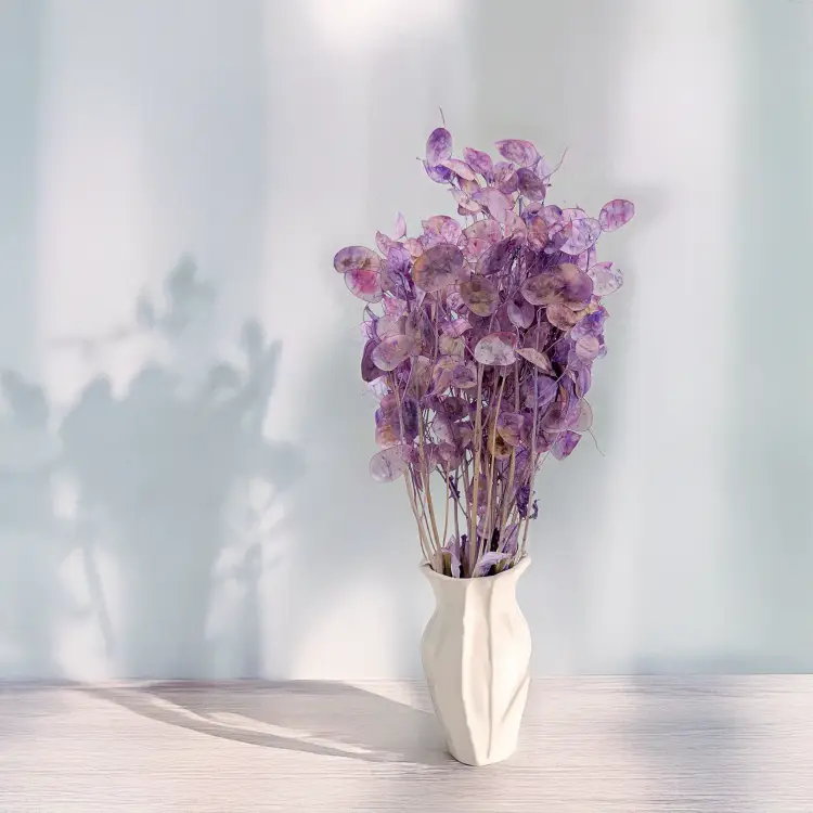 Lunaria IT lawendowa 3.png