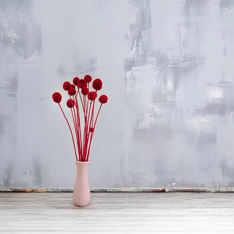 Craspedia czerwona 4.png