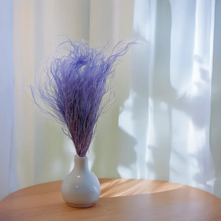 Stipa lawendowa 3.png