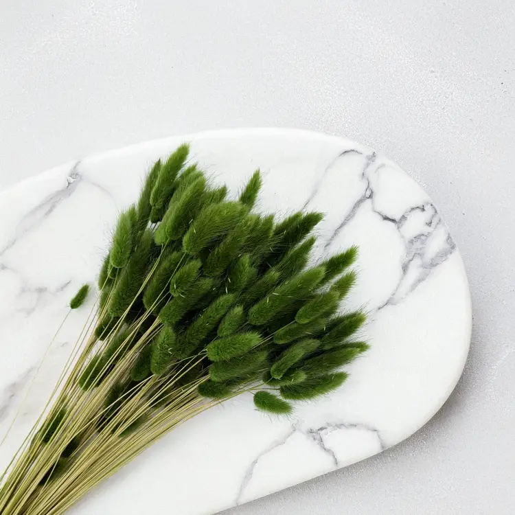 Lagurus ciemna zieleń 2.png