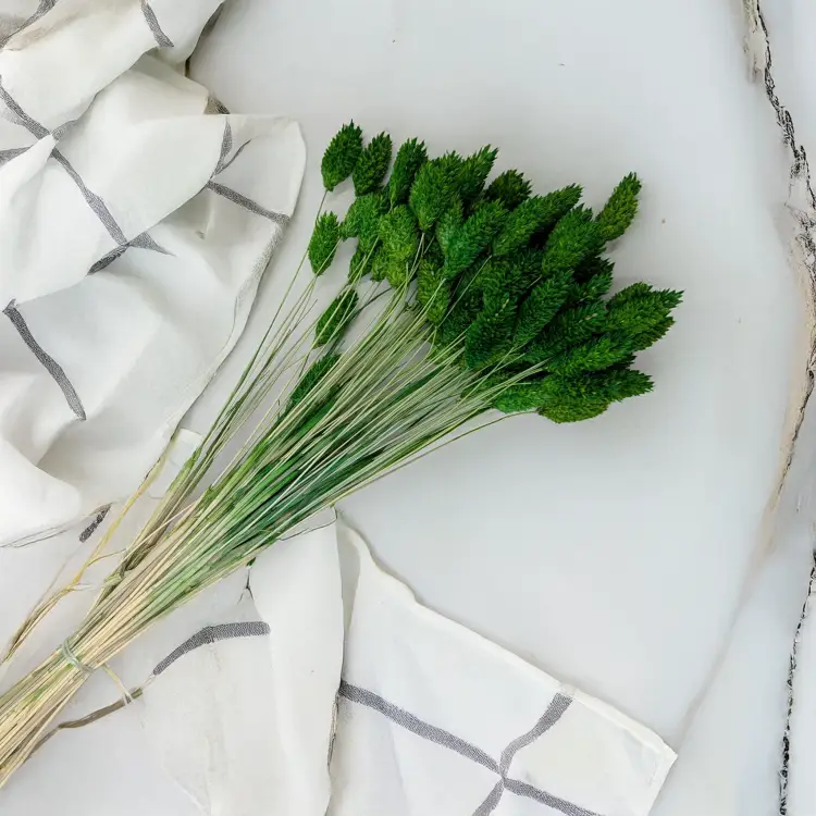 Kanar butelkowy 2.png