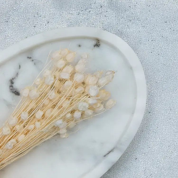 Nigella bielona 2.png