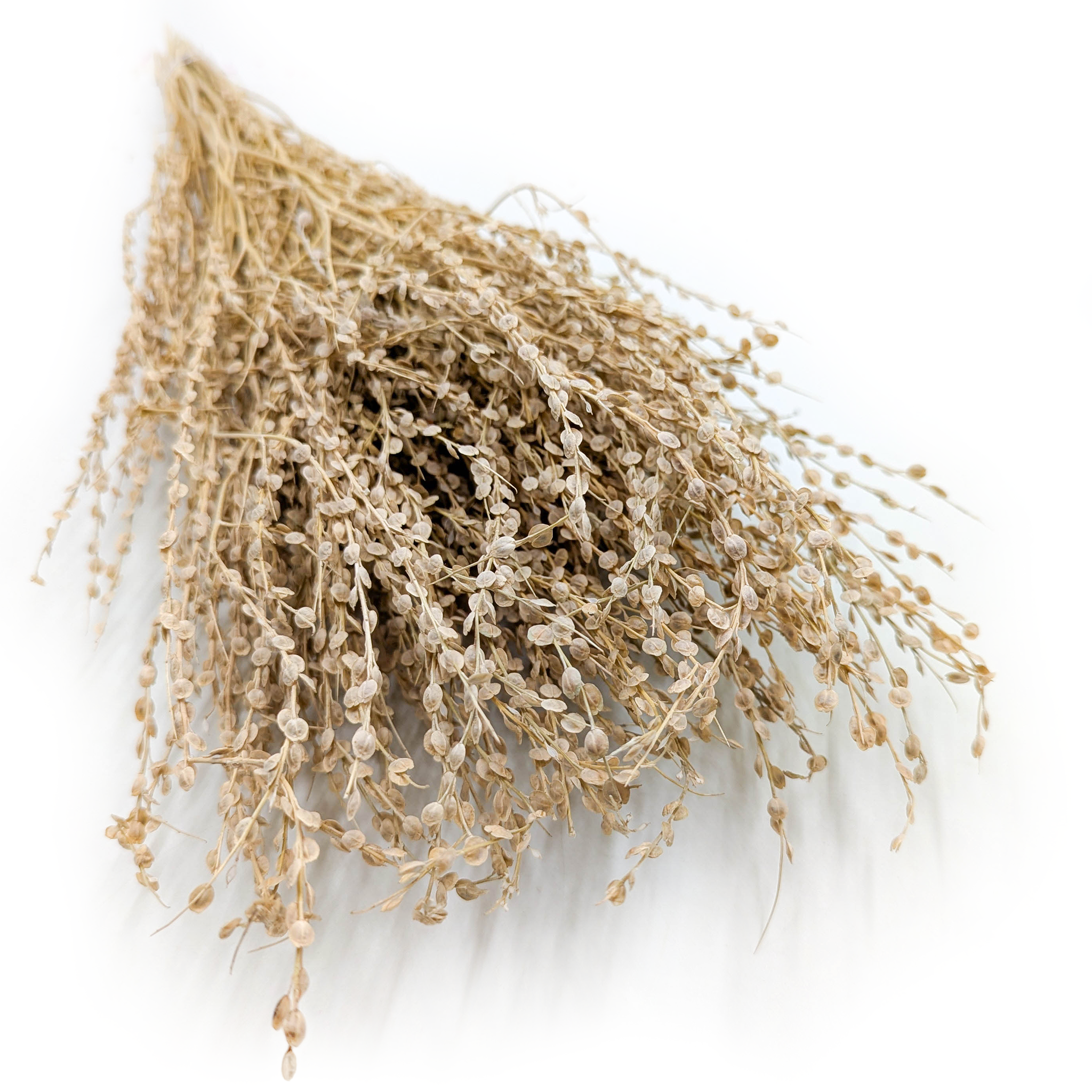 Lepidium (Lepidium sativum) - Naturalne