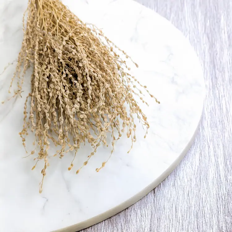 Lepidium Naturalne Suszone 2.png