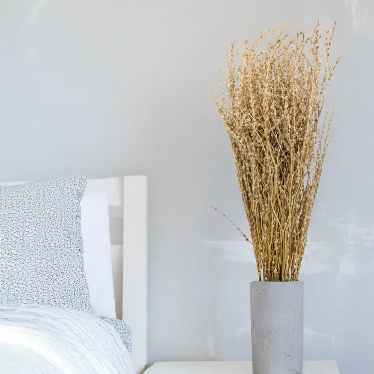 Lepidium Naturalne Suszone 1 (1).png