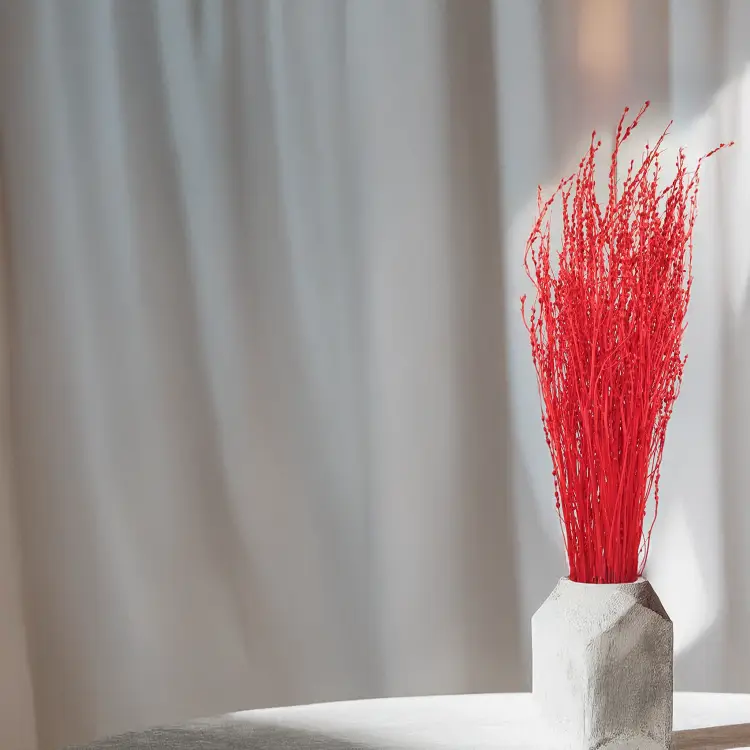 Lepidium Czerwone Suszone.png