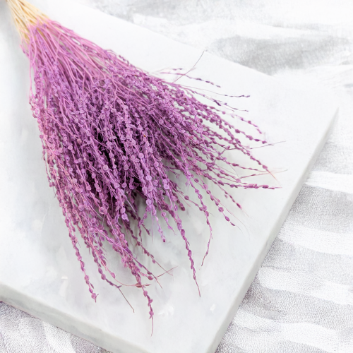 Lepidium Fioletowe Suszone 4.png