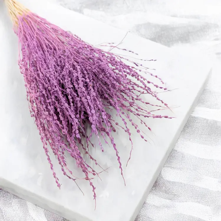 Lepidium Fioletowe Suszone 4.png