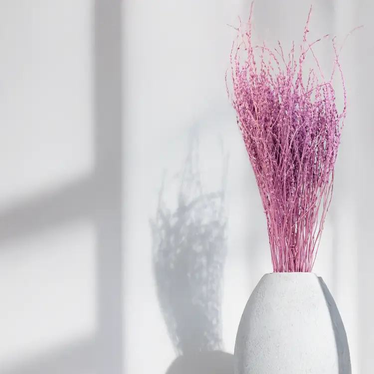 Lepidium Fioletowe Suszone 1.png