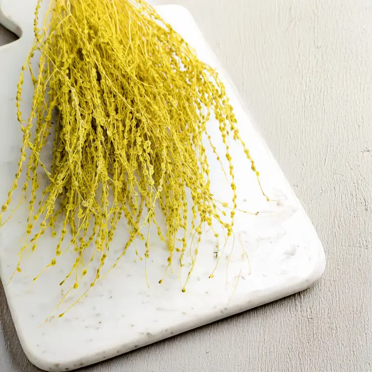 Lepidium Żółte Suszone 2.png