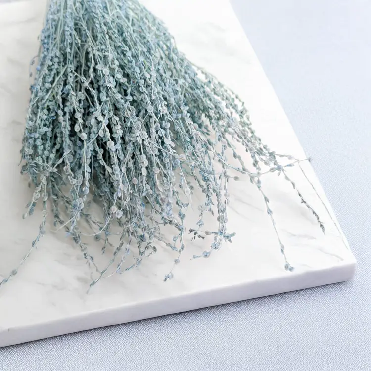 Lepidium miętowe suszone 2.png