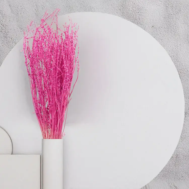 Lepidium Fuksja Suszone.png