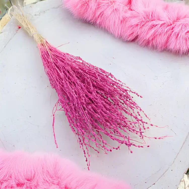 Lepidium Fuksja Suszone 3.png