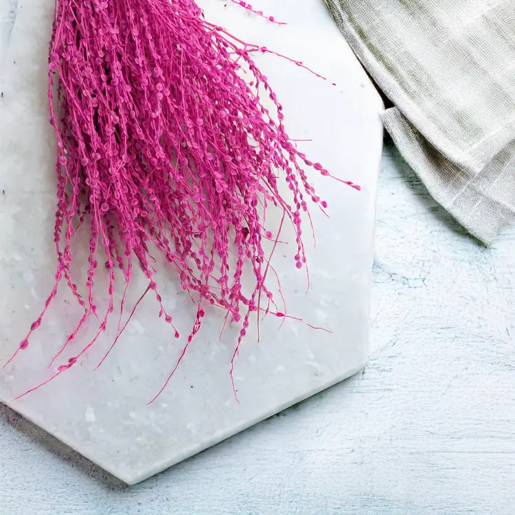 Lepidium Fuksja Suszone 2.png