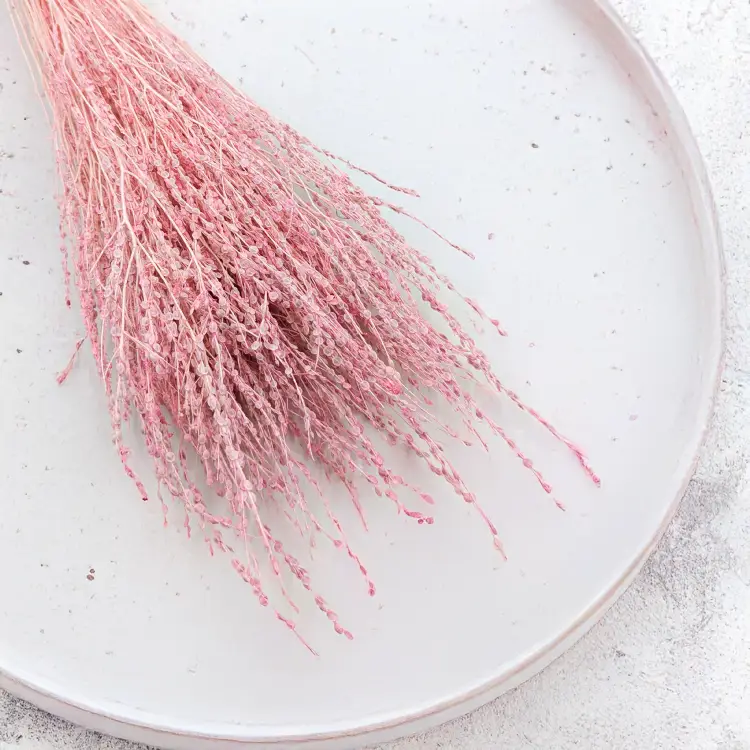 Lepidium Różowe suszone 4.png