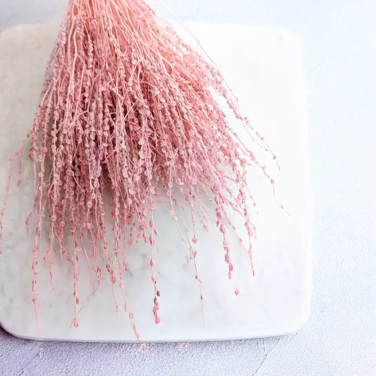 Lepidium Różowe suszone 2.png