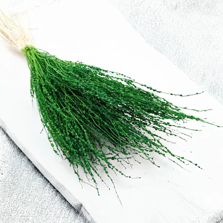 Lepidium Butelkowe Suszone 5.png