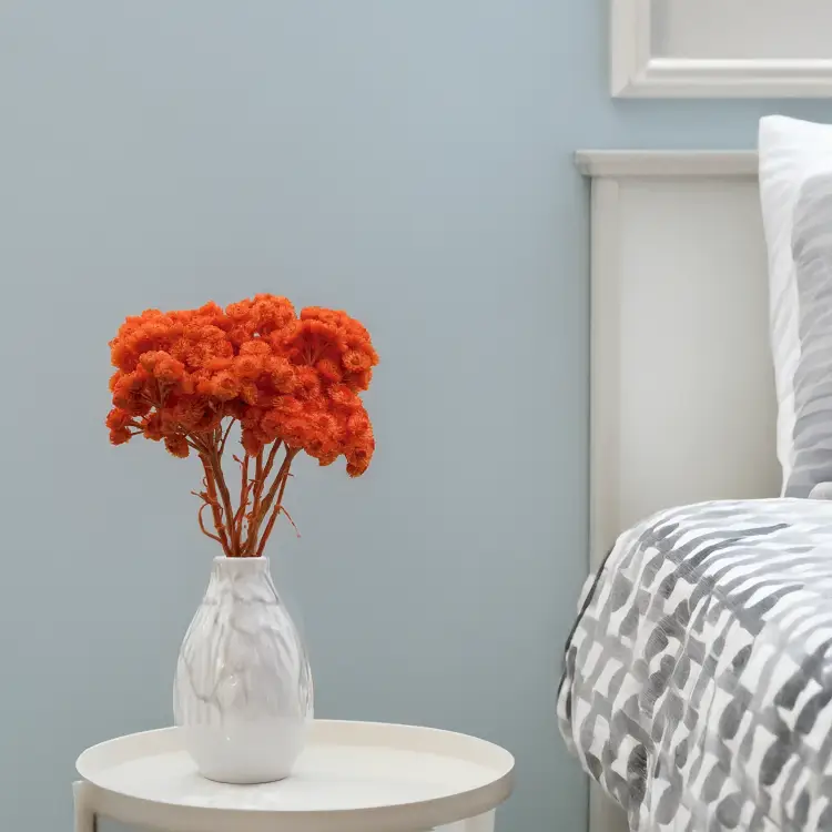 Kocanka włoska pomarańczowa 5.png