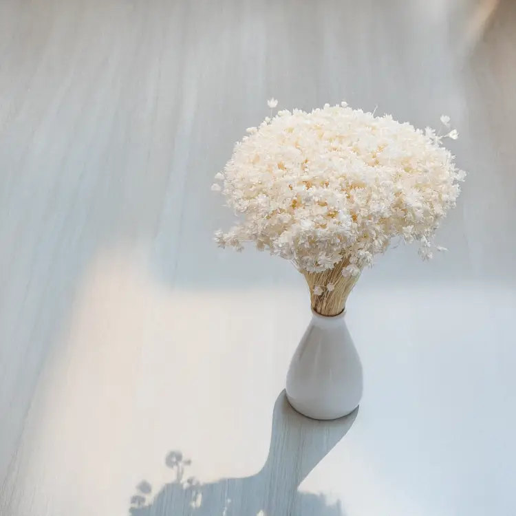 Glixia Marcela bielona 3.png