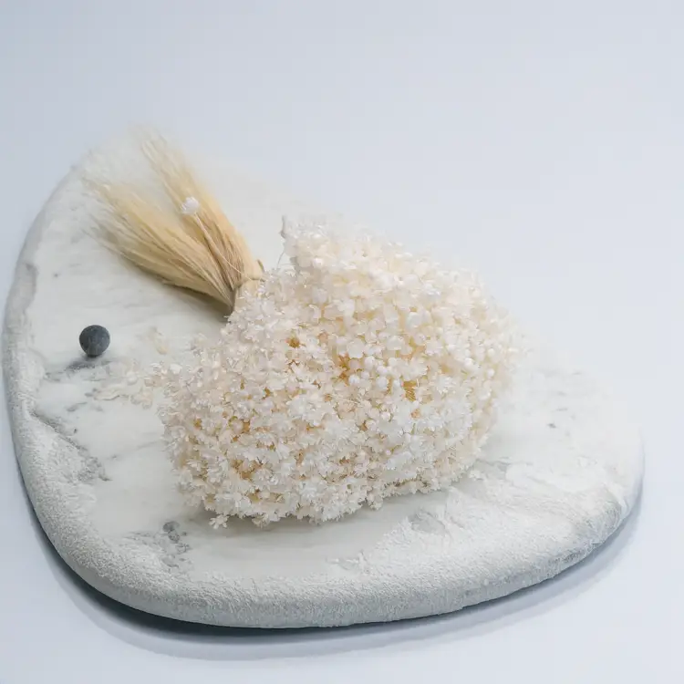 Glixia Marcela bielona 2.png