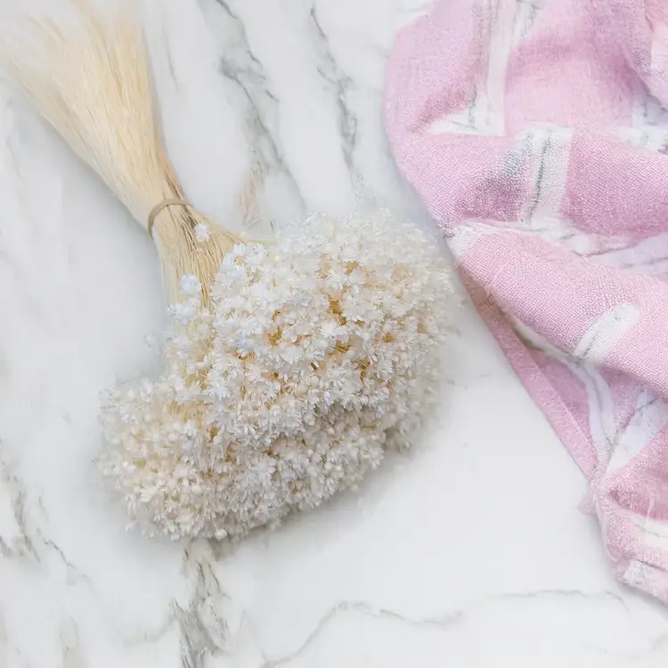 Glixia Marcela bielona 1.png