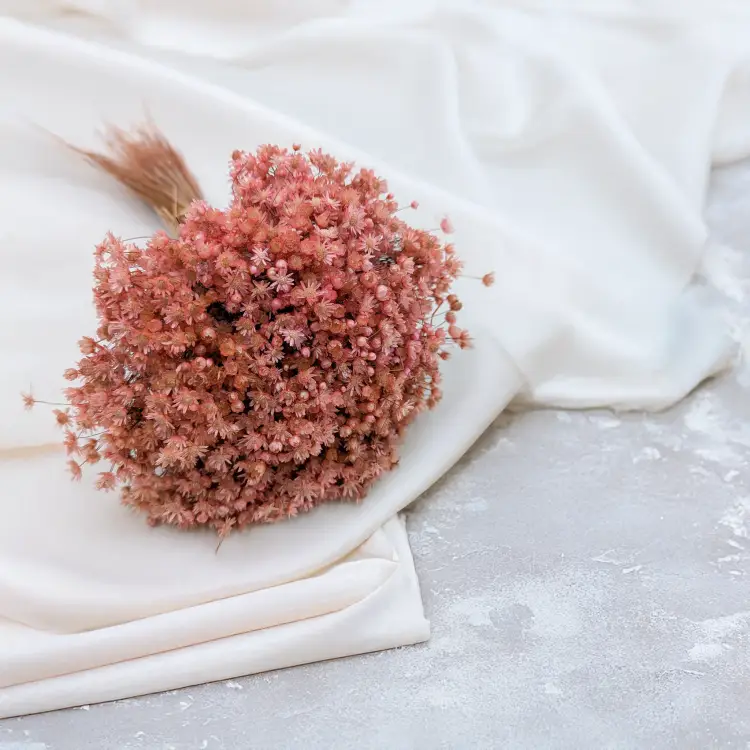 Glixia Marcela różowa.png